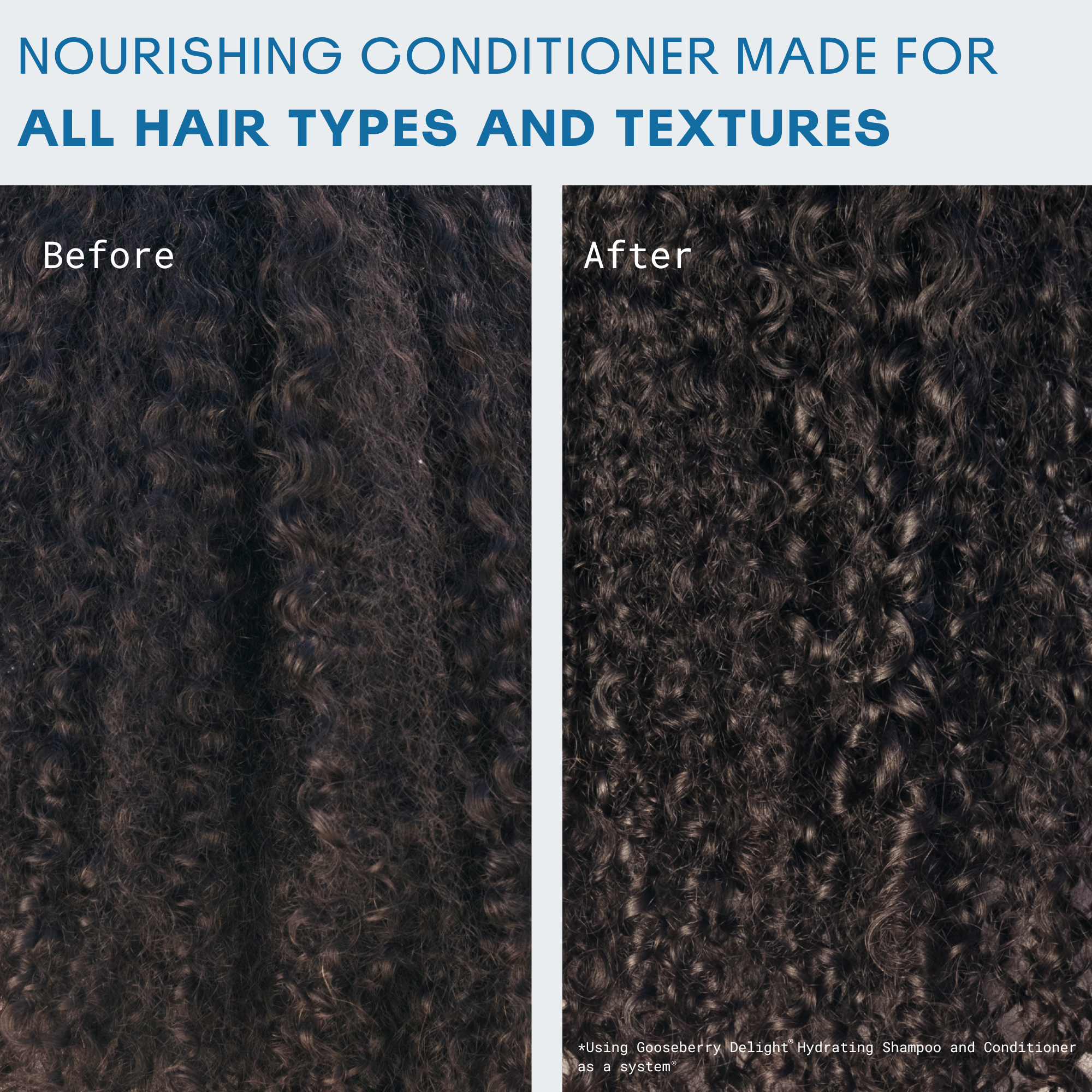 Gooseberry Delight® Hydrating Conditioner