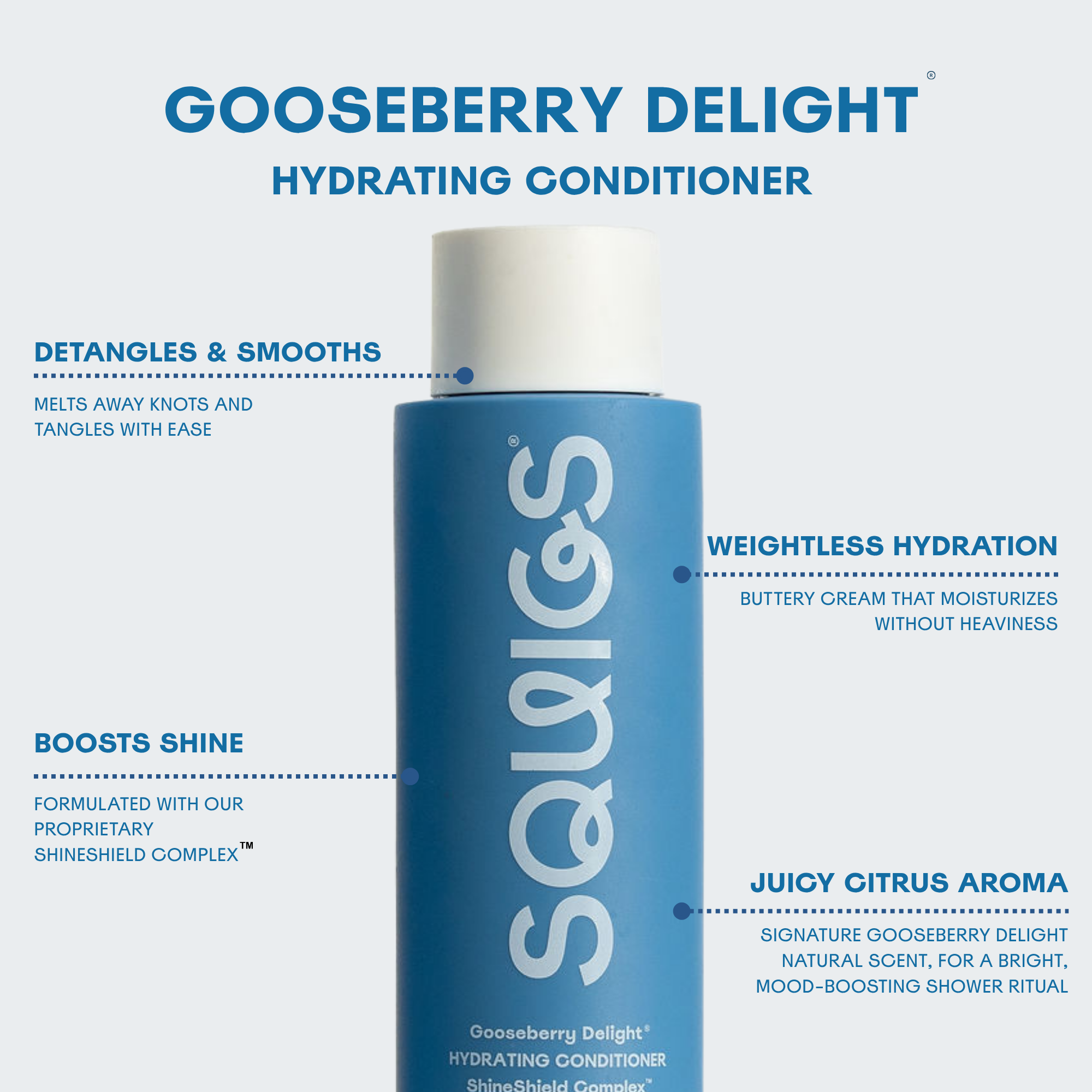 Gooseberry Delight® Hydrating Conditioner