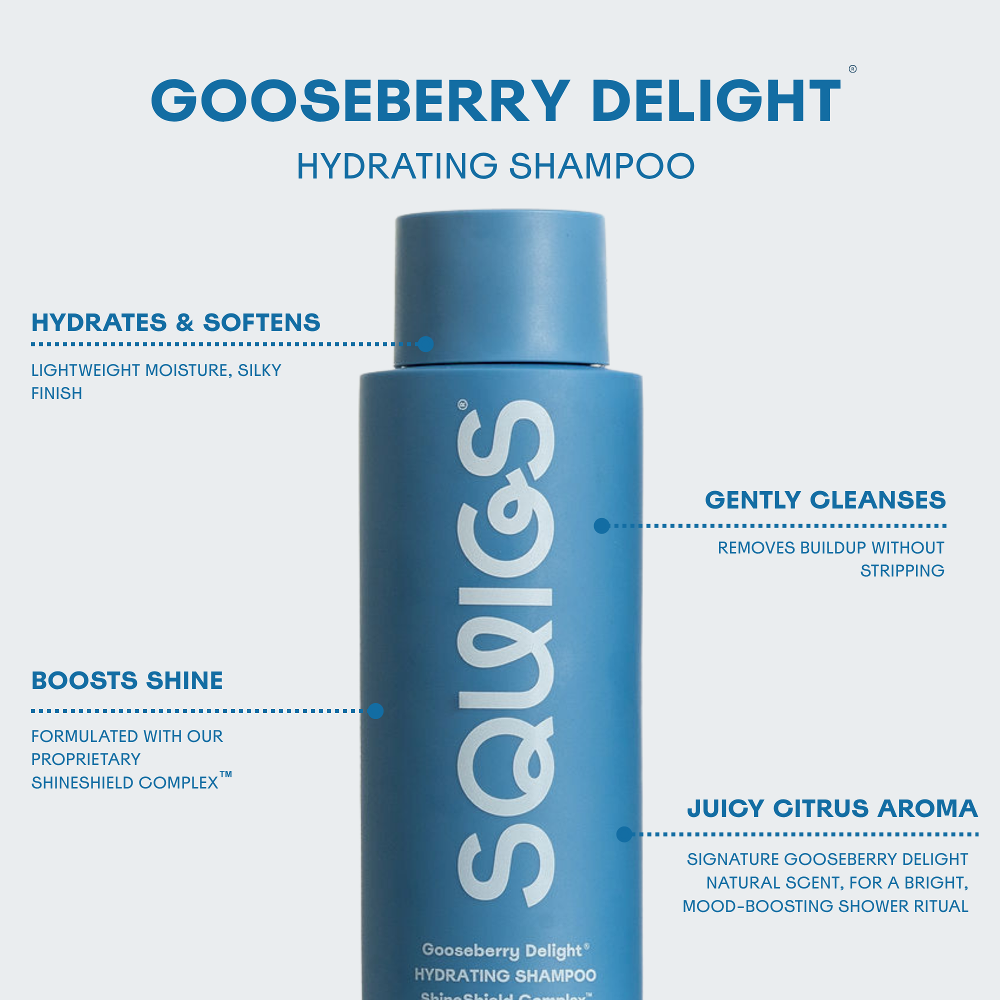 Gooseberry Delight® Hydrating Shampoo