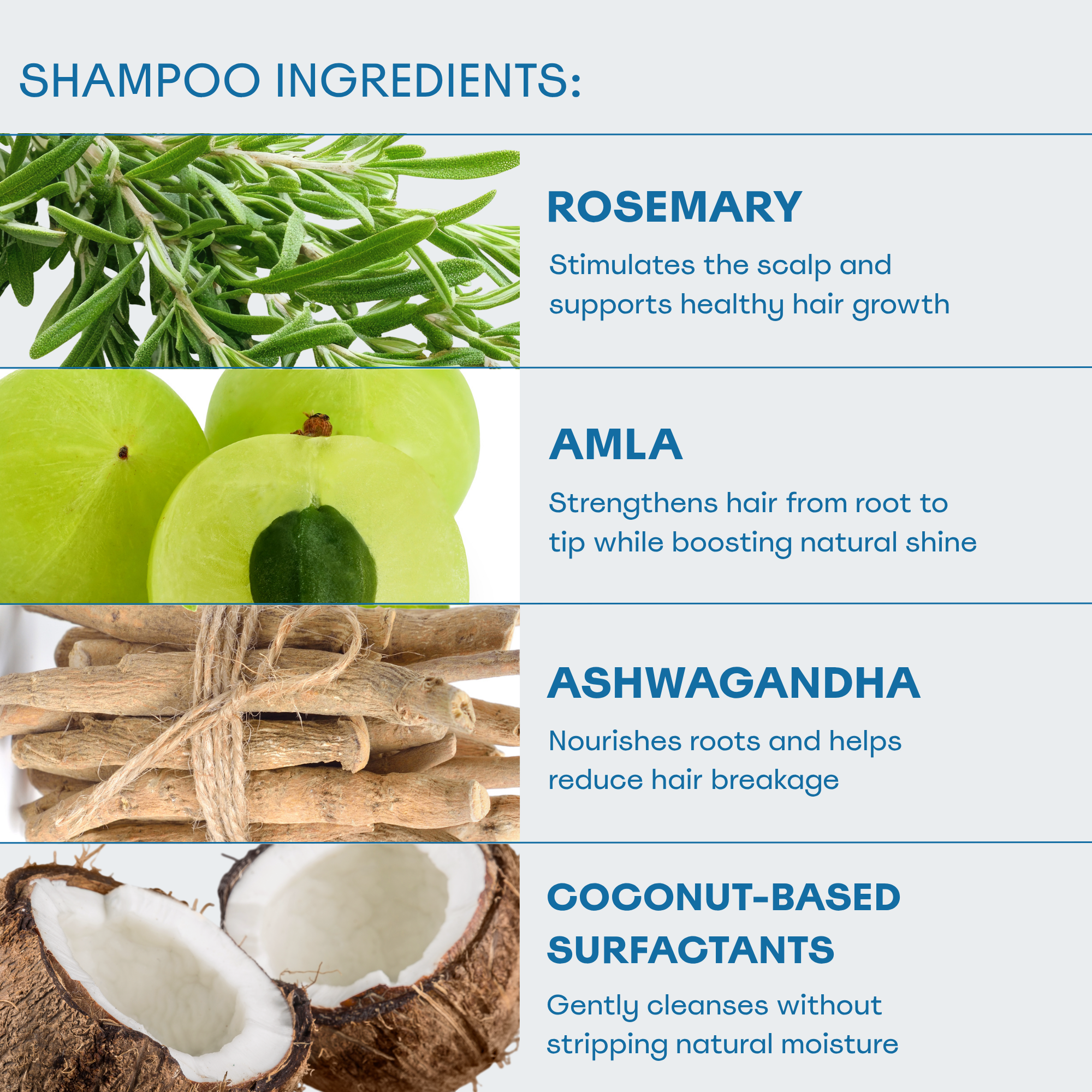 Gooseberry Delight® Hydrating Shampoo